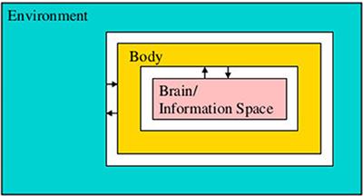 An enactivist-inspired mathematical model of cognition